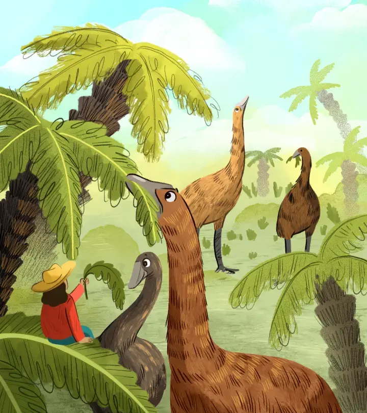 Creative writing stimulus 6